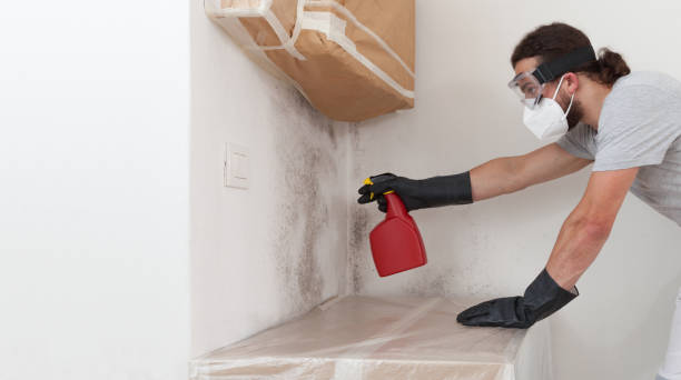 Professional Attic Mold Removal technician working in Plainfield, IL